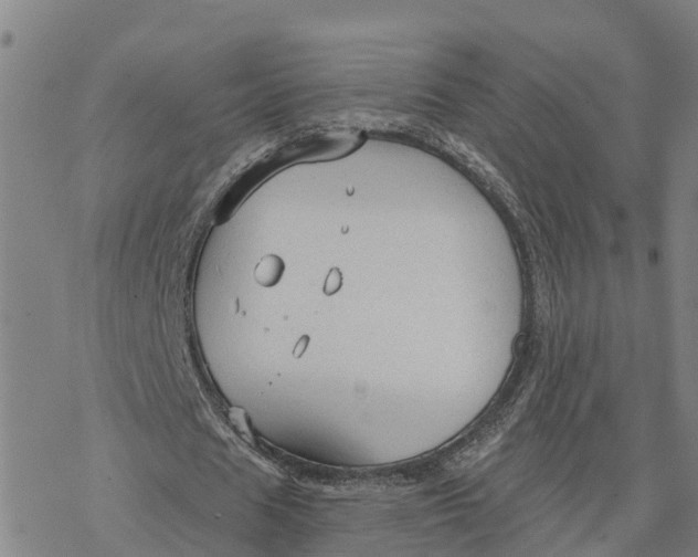 X0000076420625200610271709