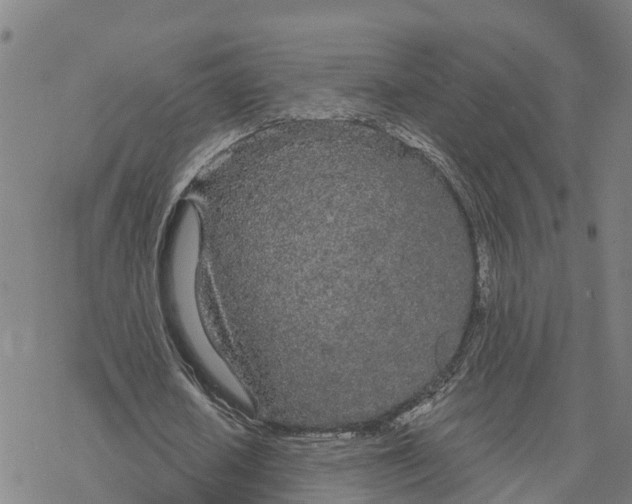 X0000076420626200610271709