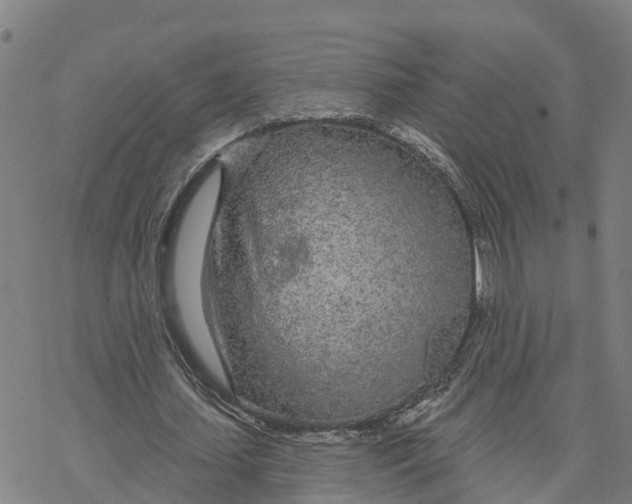 X0000076420627200610271709