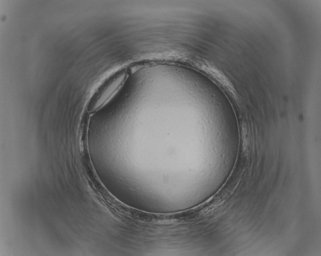 X0000076420628200610271709