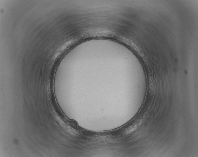 X0000076420629200610271709