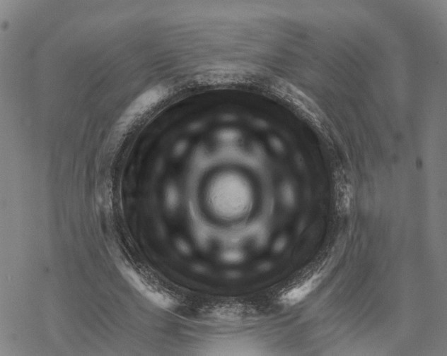 X0000076420631200610271709