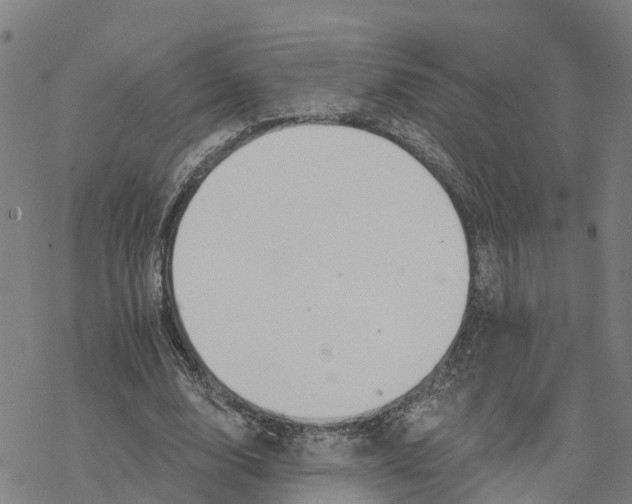 X0000076420632200610271709