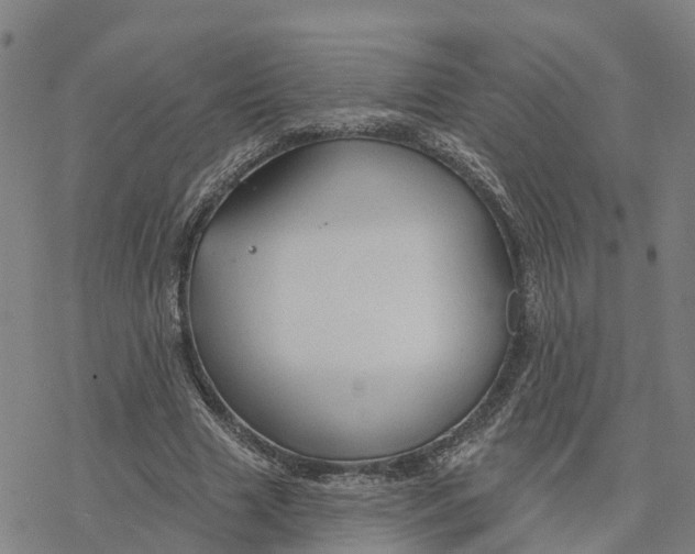 X0000076420633200610271709