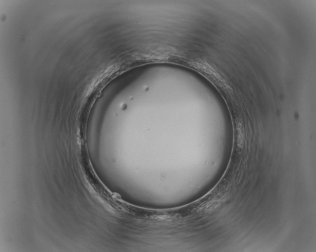 X0000076420634200610271709