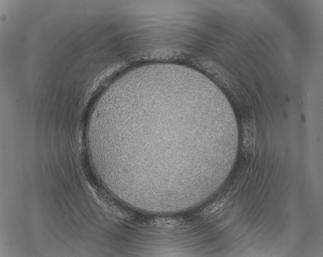 X0000076420636200610271709