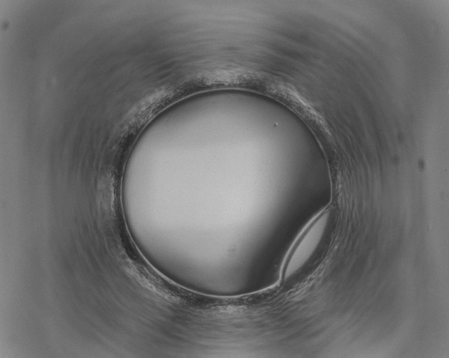 X0000076420637200610271709