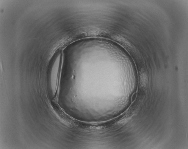 X0000076420638200610271709