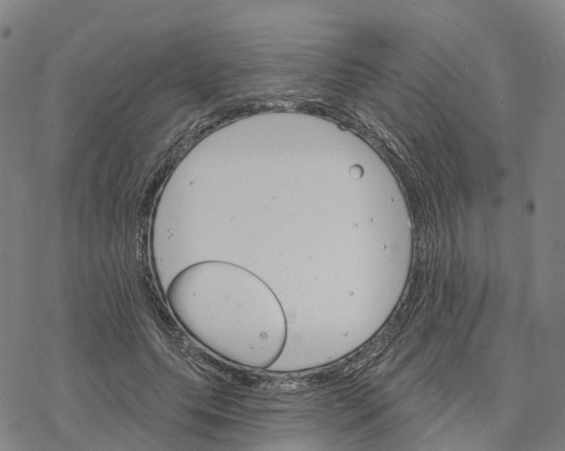 X0000076420639200610271709