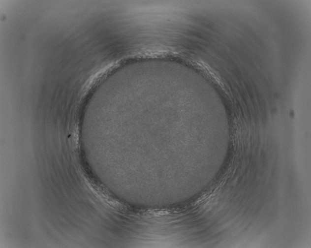 X0000076420640200610271709