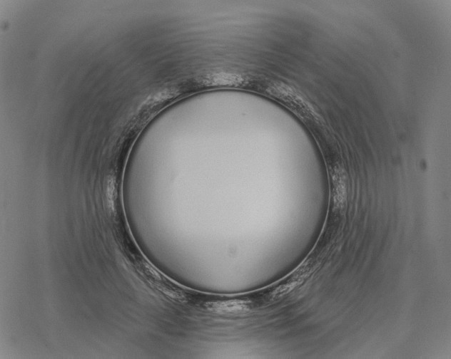 X0000076420643200610271709