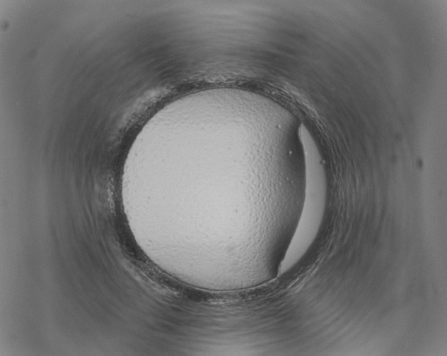 X0000076420644200610271709