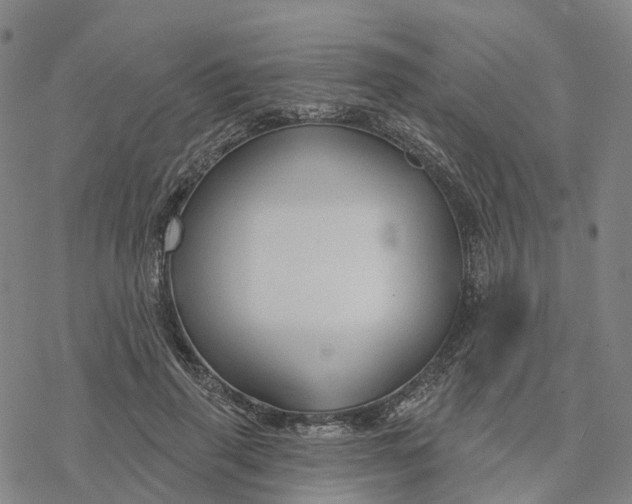 X0000076420645200610271709