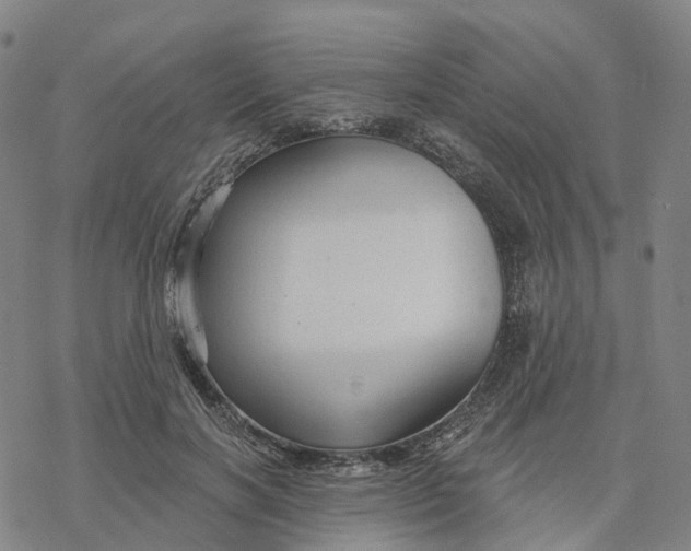 X0000076420646200610271709