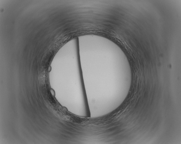 X0000076420647200610271709