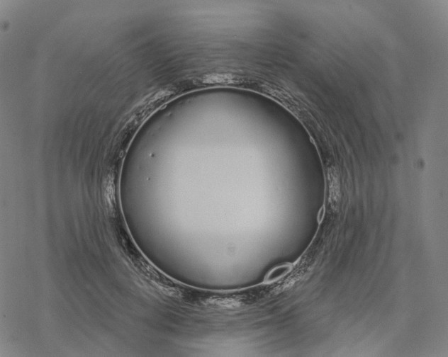 X0000076420648200610271709