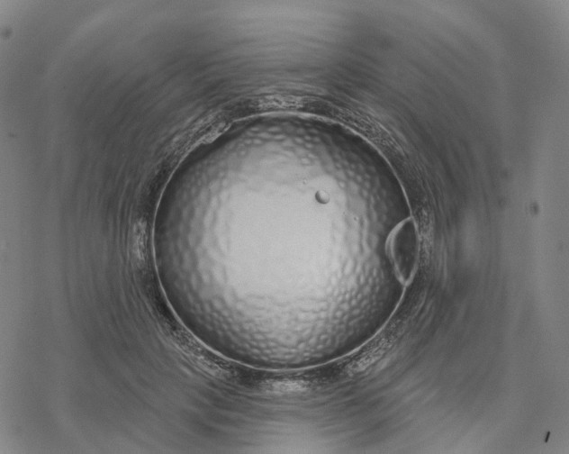 X0000076420649200610271709