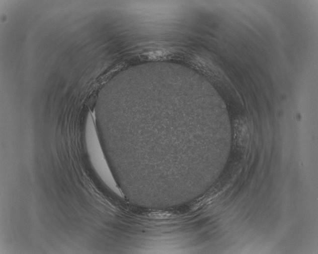 X0000076420650200610271709