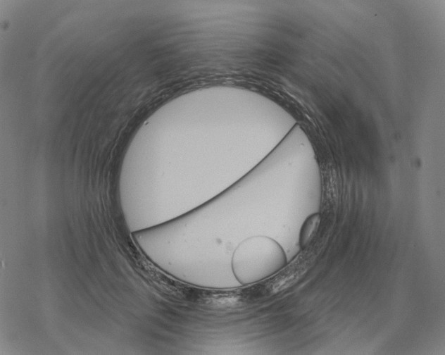 X0000076420651200610271709