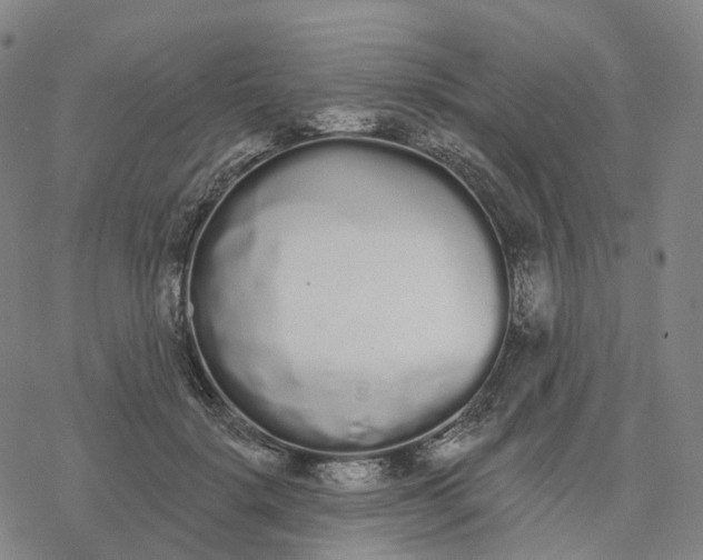 X0000076420652200610271709