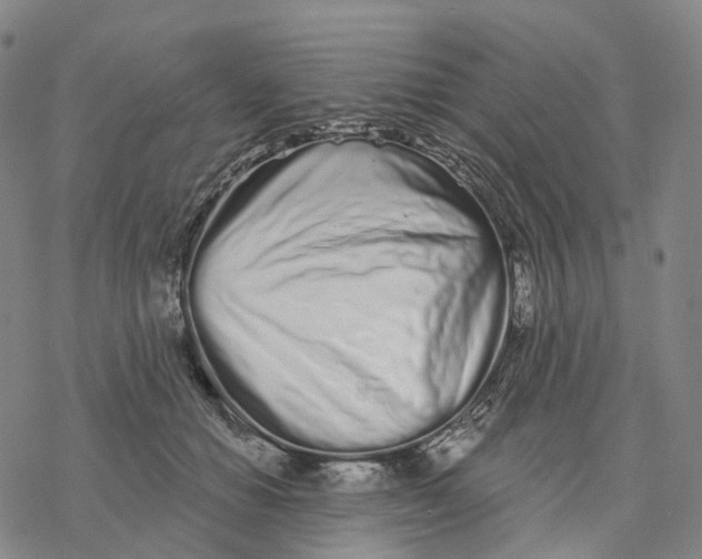 X0000076420654200610271709