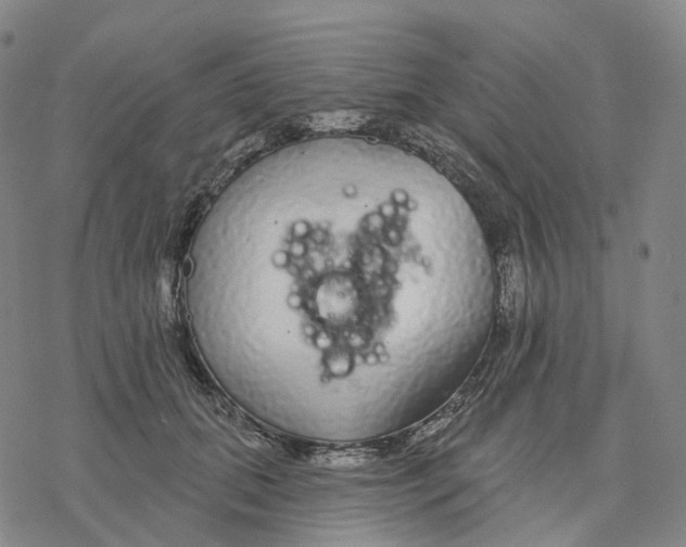 X0000076420655200610271709