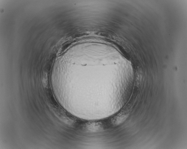 X0000076420656200610271709