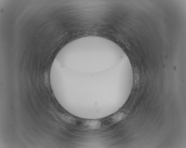 X0000076420659200610271709