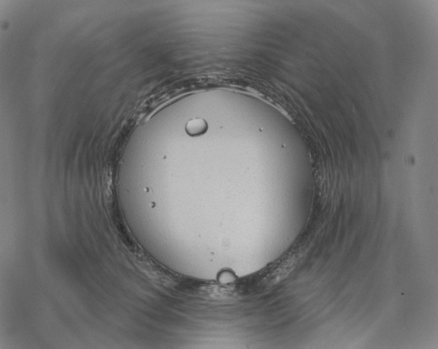 X0000076420660200610271709