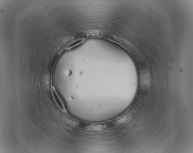 X0000076420661200610271709