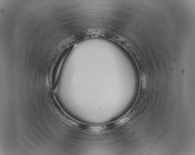 X0000076420662200610271709