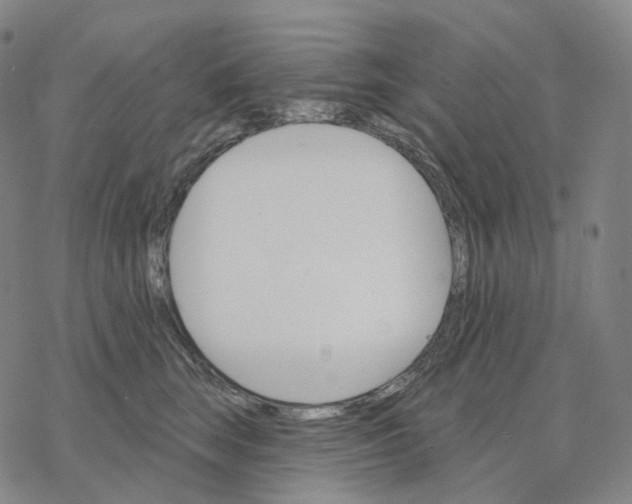 X0000076420663200610271709