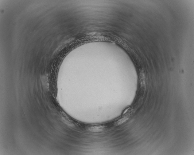 X0000076420664200610271709