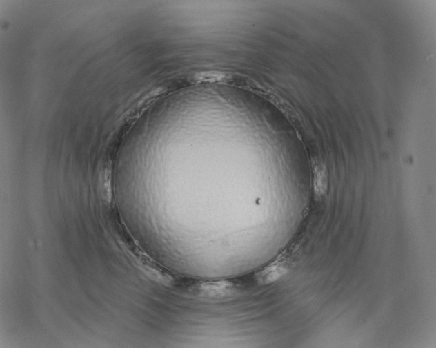 X0000076420666200610271709