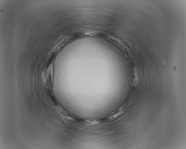 X0000076420667200610271709