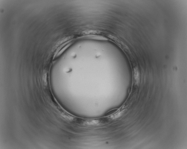 X0000076420668200610271709