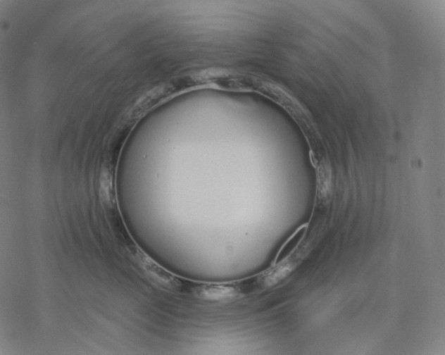 X0000076420669200610271709