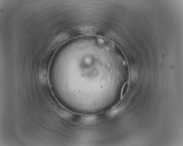 X0000076420671200610271709