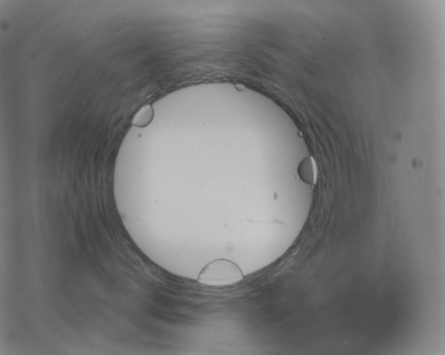 X0000076420672200610271709