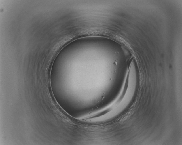 X0000076420673200610271709