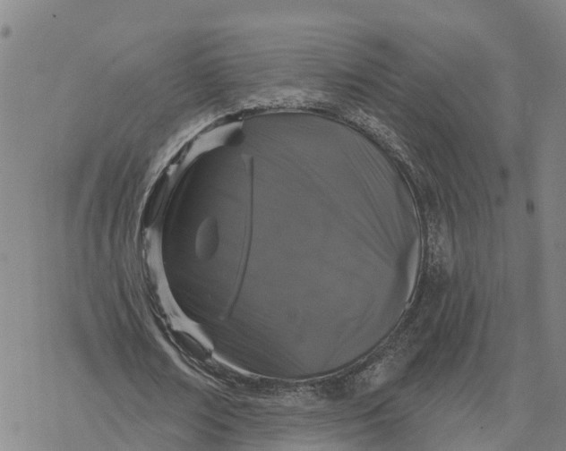 X0000076420674200610271709