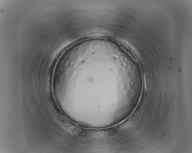 X0000076420675200610271709