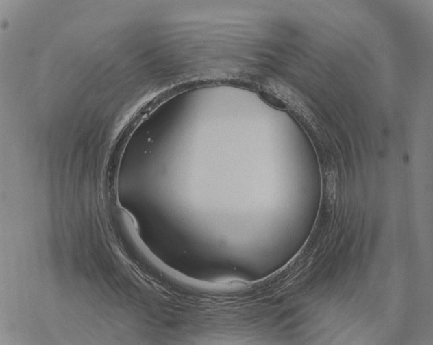 X0000076420676200610271709