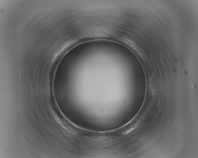 X0000076420677200610271709