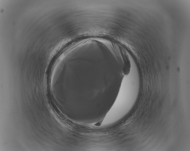 X0000076420678200610271709