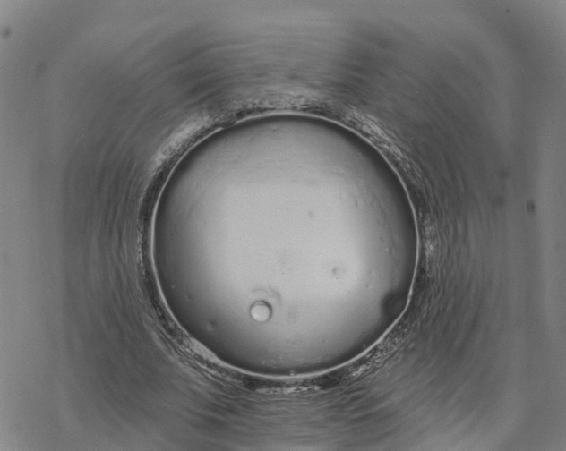 X0000076420679200610271709