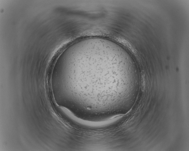 X0000076420680200610271709