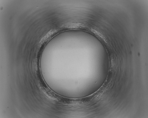 X0000076420682200610271709