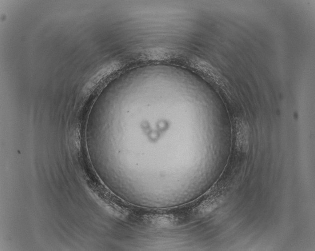 X0000076420683200610271708