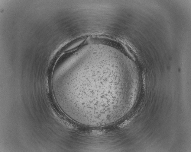 X0000076420684200610271708